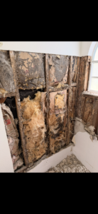 Bathroom demolition at Orlando Airbnb showing damaged insulation and rotten 2x4s before remodeling by Cornerstone Flooring